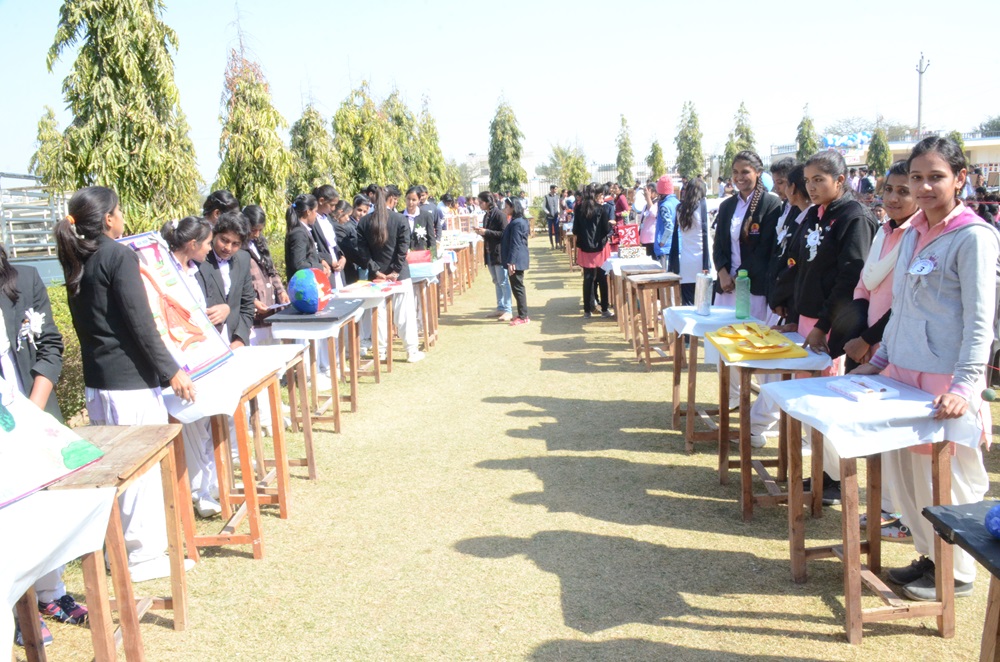 Best interior designer in kuchaman city