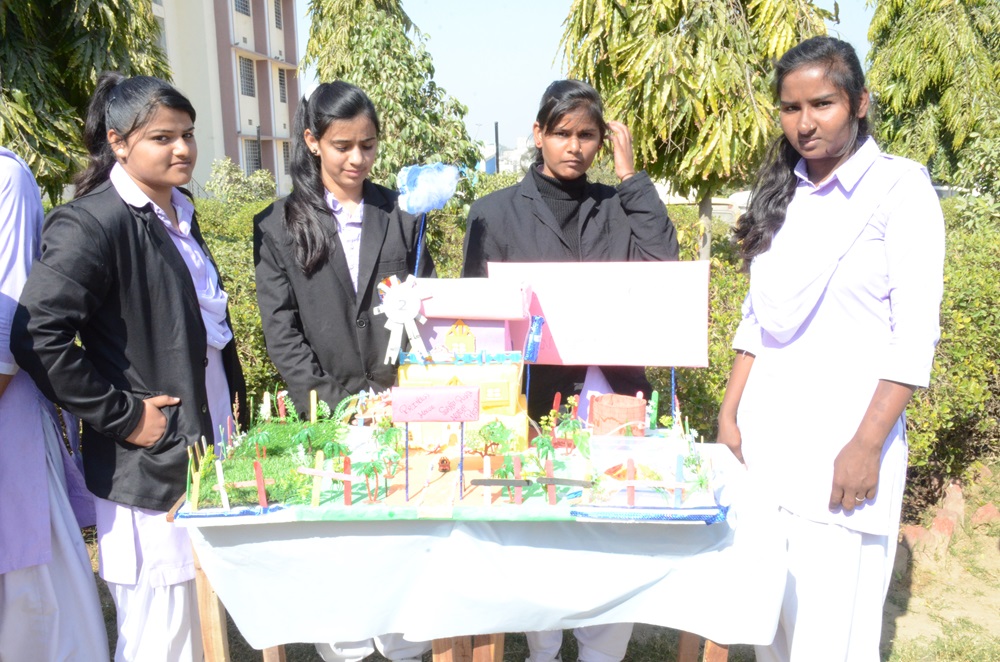 Best interior designer in kuchaman city